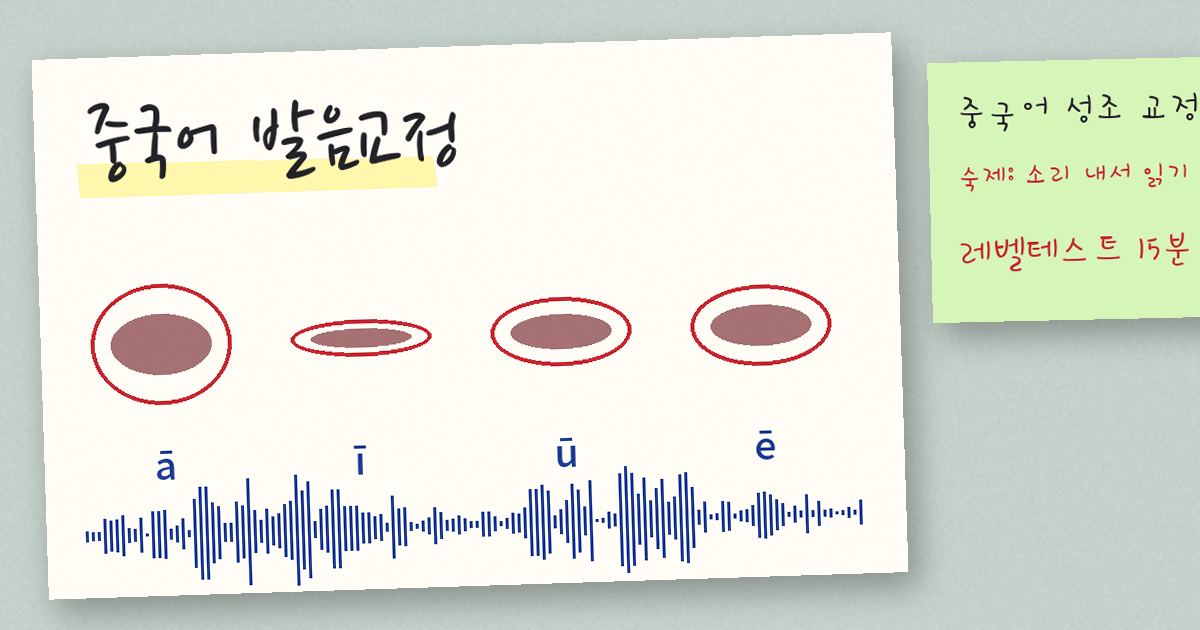 중국어 발음교정